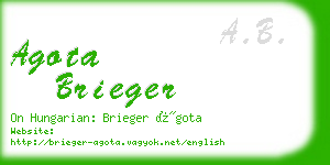 agota brieger business card